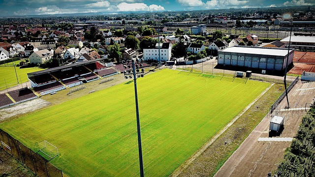 共同作用 共同作用