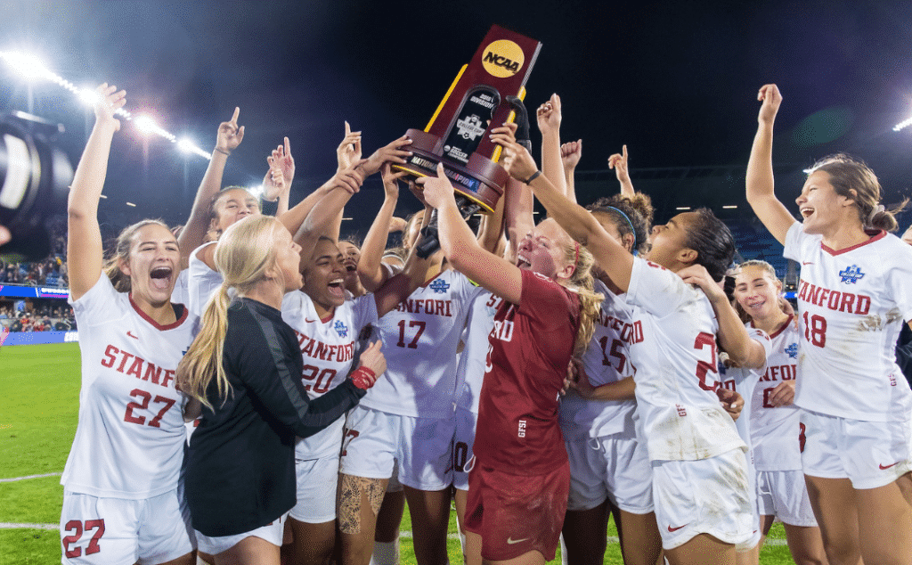 在公众的眼 在公众的眼